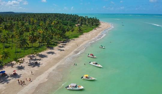 Maragogi natural pools with crystal clear emerald waters and colorful fish visible from above